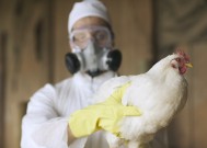 U.S. confirms 1st severe bird flu case, California declares state of emergency